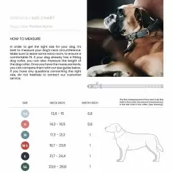 Kentucky dogwear plaited dog collar- Grey