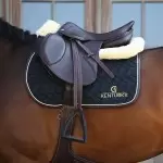 Jumping Saddlepads