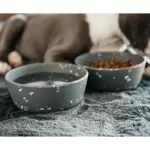 Dog Bowls 