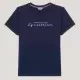 Tommy Hilfiger Brooklyn Graphic T-Shirt - Desert Sky image