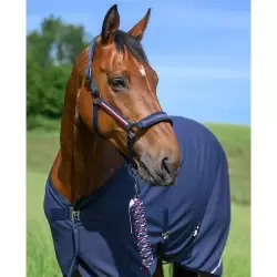 Tommy Hilfiger Yale Headcollar and Rope Set Desert Sky