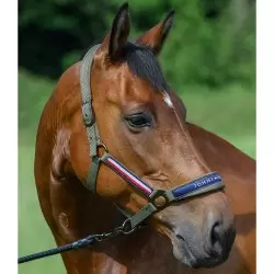 Tommy Hilfiger Yale Headcollar and Rope Set Utility Olive