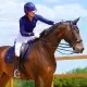 Woof Wear Navy Vision Fly Veil image