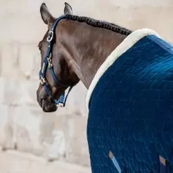 Kentucky Horsewear Navy Velvet Show Rug